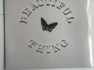 THE STONE ROSES BEAUTIFUL THING 12