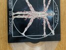 LEEWAY Born To Expire Clear Lp Mint