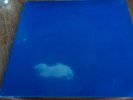 John Lennon & Plastic Ono Band Live Peace in Toronto - SEALED Lp w/ calendar