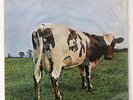 PINK FLOYD ATOM HEART MOTHER ODEON OP80102 Japan ORIGINAL RED VINYL VINYL LP