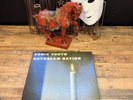 Sonic Youth -- Daydream Nation Vinyl Box Set