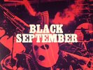 Vercetti Technicolor - Black September Austria - LP