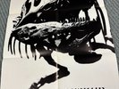 TYRANNOSAURUS REX Unicorn 1969 VG+ ORIG Blue Thumb LP + POSTER Marc Bolan T. REX
