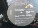 THE RITCHIE FAMILY-1982-I'LL DO MY BEST(FOR YOU BABY) VINYL 12 inch