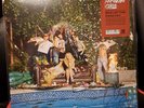 LAMBRINI GIRLS Who Let The Dogs Out. Oxblood Vinyl SIGNED cover 300ex SOLD OUT