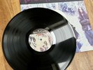 1993 ALICE IN CHAINS DOWN IN A HOLE Rooster Vinyl 12” NM