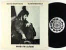 David Wertman/Sun Ensemble - Wide Eye Culture LP - Sunmuse VG+