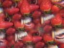 Oh Sees, Thee - Floating Coffin Vinyl LP Record