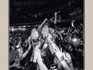 Caamp - Live From Newport Music Hall (Indie Exclusive, Coke Bottle Clear Vinyl)