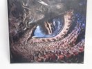 Monster Hunter Anniversary 15th Edition Analog Record 2LP Original Soundtrack