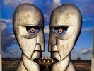 Pink Floyd-The Division Bell-Rare-Blue Vinyl-1994-MINT -Insert