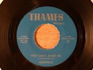 Montells You Can't Make Me/Daddy Rolling Stone RARE  Garage Punk 1966 Thames