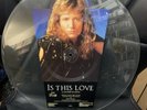 Whitesnake Is This Love Uncut Picture Disc  . Very Good Condition