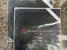NEW SERATO SCRATCH LIVE Clear Rare VINYL RECORD Pair 2 Control Sealed