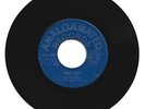 PIONEERS / WHIP THEM / SOME HAVING A BAWL / 7''