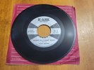 HYLO BROWN Riding In A Dump Truck Vinyl 45 VG+ RARE 1967 Country