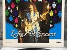 T. Rex – In Concert | Japan Pressung LP Vinyl Record Schallplatte Hard Rock