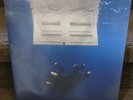 Billie Eilish - Hit Me Hard and Soft (Orange Vinyl + Poster) Target Exclusive