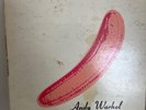 The Velvet Underground & Nico First Pressing Lp Self-Titled (1967) (Mono East Co