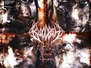 Bloodbath - Resurrection Through Carnage (Vinyl LP - 2002 - EU - Reissue)