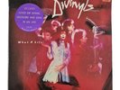 DIVINYLS - 'What A Life' 12