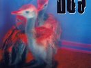 BOA TWILIGHT LP MINT CONDITION