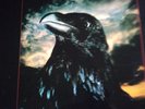 Stranglers The Raven LP near mint