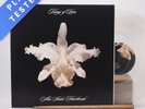 Kings Of Leon Aha Shake Heartbreak Double LP Album Vinyl Record - EX/EX
