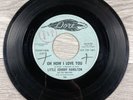 Little Johnny Hamilton & The Creators Oh How I Love You Go 45 RPM 7” Vinyl Dore