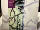 TOAD THE WET SPROCKET-