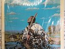 Freddie King Texas Cannonball 1972 LP Album Blues VG/VG
