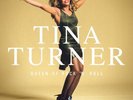 QUEEN OF ROCK N ROLL (5LP) by Tina Turner