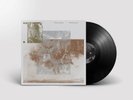 The Vernon Spring What's Going On (Vinyl) 12