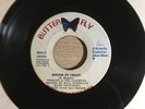 Winston & The Examples - Bound In Chain - very rare reggae 7