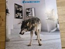 Grinderman 2 Nick Cave Vinyl Album
