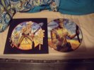 STUNNING 33T PICTURE DISC IRON MAIDEN