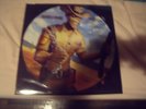 STUNNING 33T PICTURE DISC IRON MAIDEN