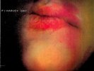 PJ HARVEY- Dry LP (SEALED** Vinyl Reissue) 1992 Album Sheela-Na-Gig/Dress etc