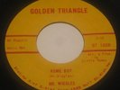 MR WIGGLES LITTLE TOMMY WASH MY BACK HOME BOY 45 Jimi Hendrix GOLDEN TRIANGLE NM