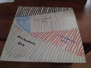 NOCTURNAL ZOO - s/t Lp -  1987 Private Press 300 copies - Chameleons The Sound