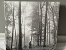 Taylor Swift Folklore In The Trees Brown Vinyls