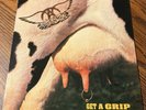 Aerosmith Get A Grip Vinyl Record