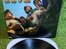 COUNT FIVE PSYCHOTIC REACTION 1966 USA PRESS Double Shot garage psych fuzz MONO