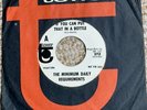 very rare 45 obscure MINIMUM DAILY REQUIREMENTS garage psych 1967 PROMO