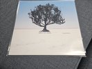 Shiny Toy Guns – We Are Pilots Record Never Been Played (Vinyl 2006)