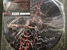 Children of Bodom - Blooddrunk LP LIMITED NUMBERED Picture Disc Vinyl Record NEW