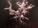 Lisa Gerrard - The Silver Tree - 2-LP Vinyl Album - 2007 Import - New/Sealed
