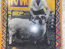 PAUL AND LINDA McCARTNEY - RAM - APPLE RECORDS SMAS-3375 LP