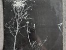 Darkthrone – Under A Funeral Moon vinyl 1993 VILE 35 UK RARE