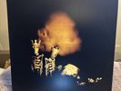 pearl jam riot act vinyl